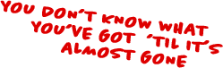 you don't know what you've got til it's gone